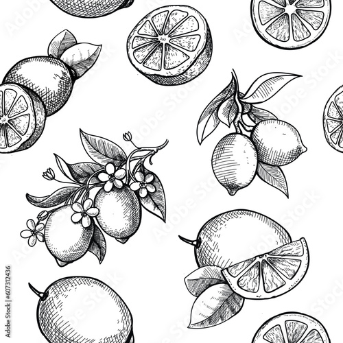 Vector hand drawn lime and lemon seamless pattern. Citrus fruit branch, blossom engraved style background.