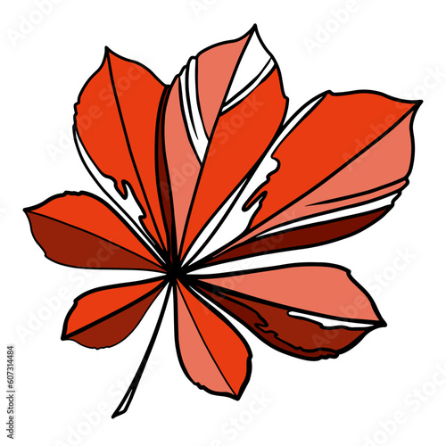 hand drawn autumn leaf
