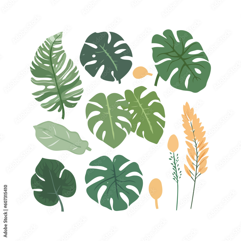 Tropical Monstera green leaves with flower cartoon style vector illustration isolated.