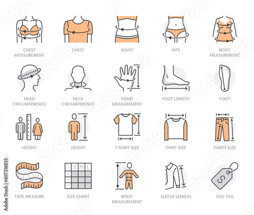 Clothes size flat line icons set. Body measurement - waist circumference, hip, chest, sleeve length, height vector illustrations. Outline signs for clothing sizes table. Orange color. Editable Stroke