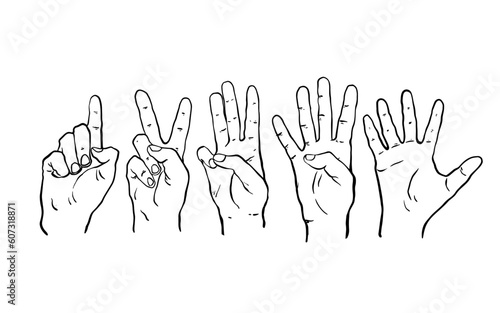hands set collection show gesture fingers ink two tree four five hand drawn vector illustration eps 10