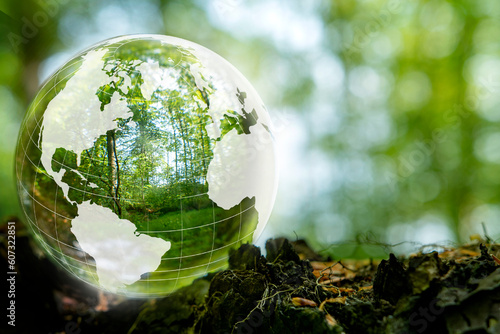 Nature and Climate change. A room made by photographing in a glassbowl making a room and reflecting the inside and outside nature.