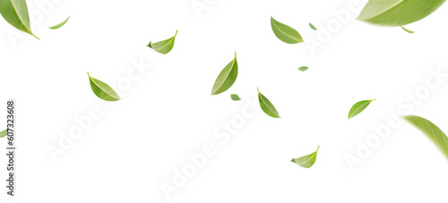 Flying whirl green tea leaves in the air with transparent background png, Healthy products by organic natural ingredients concept