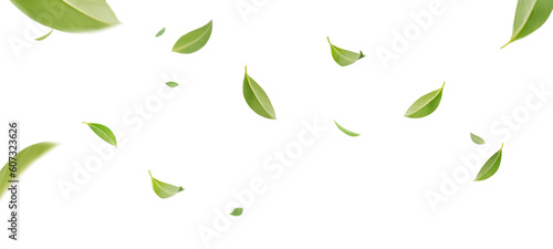 Flying whirl green tea leaves in the air with transparent background png, Healthy products by organic natural ingredients concept