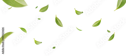 Panel kuchenny z motywem Flying whirl green tea leaves in the air with transparent background png, Healthy products by organic natural ingredients concept