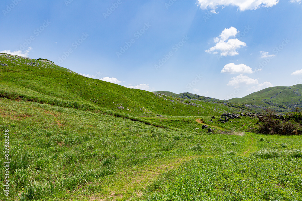 Fototapeta premium 北九州国定公園平尾台 福岡県北九州市