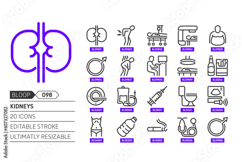 Kidneys related, pixel perfect, editable stroke, up scalable, line, vector bloop icon set.