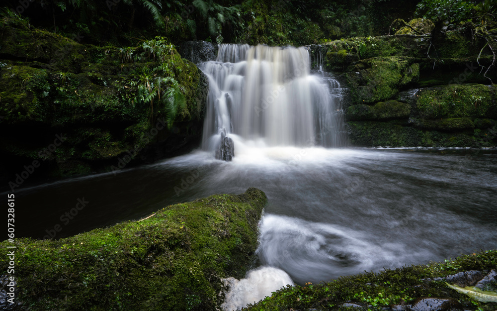 Fototapeta premium Waterfall in New Zealand forest 
