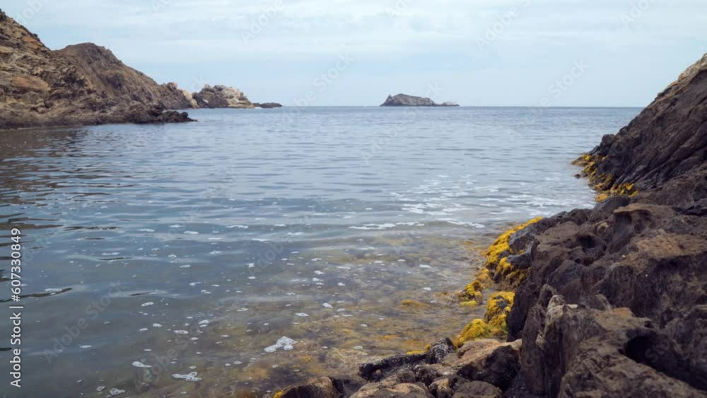 Detail of the coastline, seaweed and rock formations in the Tudela Natural Park. High quality 4k footage Detail of the coastline, seaweed and rock formations in the Tudela Natural Park. High quality 4k footage