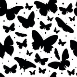 Seamless pattern with different types of silhouettes of tropical butterflies on a white background
