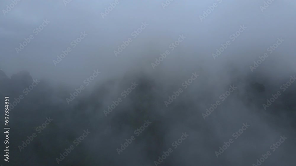 It rains copiously on the vegetation of the mountainous jungle. It rains copiously on the vegetation of the mountainous jungle.
