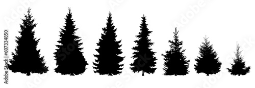 Silhouettes of coniferous trees. Realistic contours of pine and spruce on a white background. A set of trees. Elements for use in design  illustrations. Vector image.