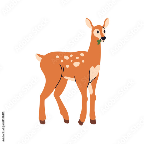 Cute baby deer. Adorable fawn, young wild forest animal cub with spots. Little bambi eating leaf food. Woodland mammal. Flat vector illustration isolated on white background