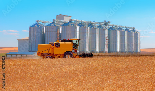 Combine harvester harvesting wheat field - Agricultural Silos for storage and drying of grains, wheat, corn, soy, sunflower