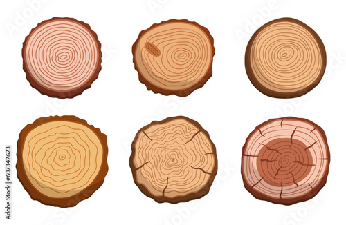 Set Of Tree Trunk Cross Sections, Showcasing The Unique Patterns And Growth Rings, Isolated Icons On White