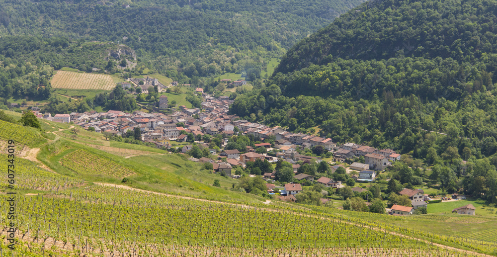 Cerdon, commune française située dans le département de l'Ain en région Auvergne-Rhône-Alpes, est dans la région naturelle du Bugey dans le massif du Jura. C'est un village viticole et touristique