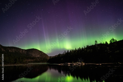 Mesmerizing scene of Norwegen Fjord Polarlichter with silhouette trees in Norway