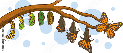caterpillar turning into a butterfly vector illustration
