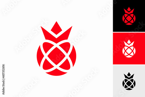 pomegranate logo vector premium template