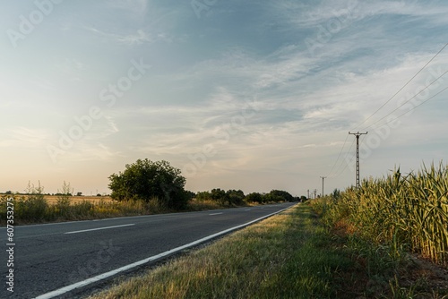Fototapeta Naklejka Na Ścianę i Meble -  Long highway between fields in the evening
