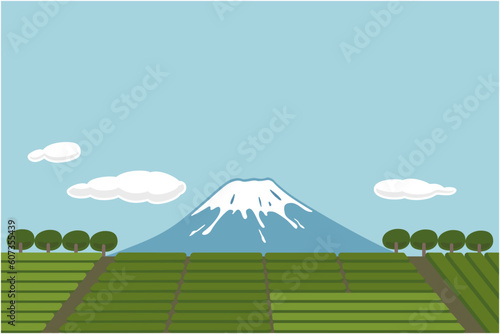 富士山と茶畑