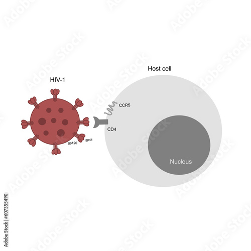 The picture of host cell was attacked or infected with HIV-1 virus via glycoprotein and CD4.