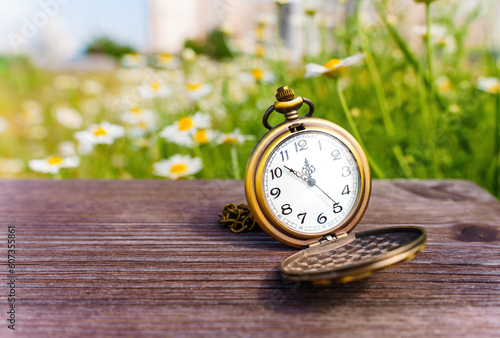 Pocket Watch with a Blooming Daisies Backdrop