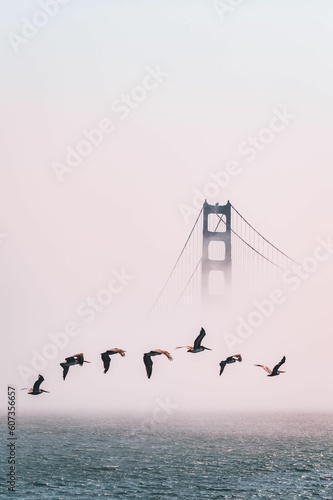 Canvas Print Vertical shot of birds flying over the ocean and Golden Gate Bridge in the backg