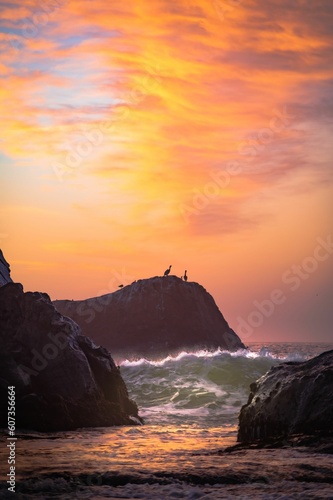 Vertical shot of birds perched on sea cliffs during the sunset