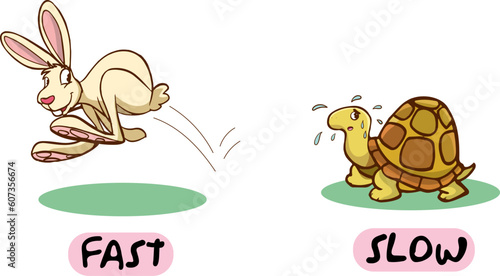 Opposite words for fast and slow cartoon vector