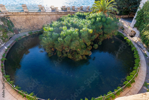 Obraz na płótnie Fountain of Arethusa on Ortygia island, a natural spring of fresh water in the place where the nymph Arethusa hid according to Greek mythology w salonie