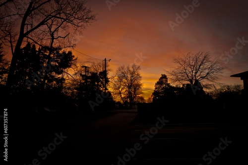 Silhouette shot of trees as the sun is setting the background