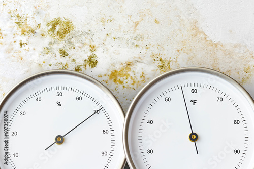 Fotografia Wall overgrown with mold or mildew with analog thermometer indicating 56 degrees FAHRENHEIT and a hygrometer measuring 70 percent relative humidity