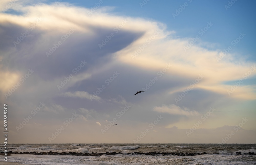 Landscape shot of birds flying in the cloudy sky against the sea - great for wallpapers