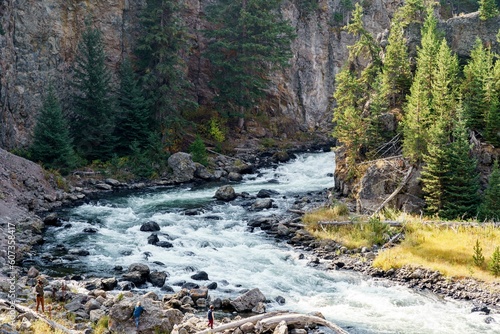 View of people walking by the rocky river flowing through the trees in Yellowstone National Park
