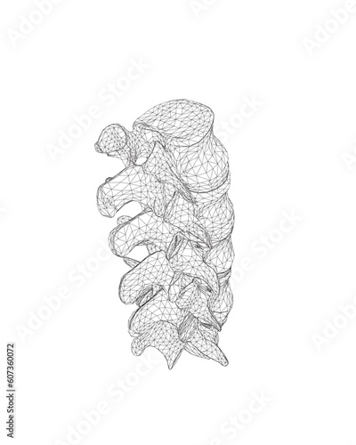 Vector illustration spine diagnostic symbol, design, sign. Vector icon. Line design. Spine bones and structure. Medicine and anatomy. Anatomical wireframe structure of man. Concept illustration..