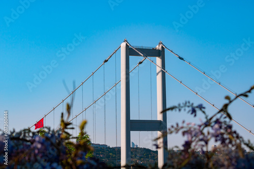 Istanbul view. Bosphorus Bridge with wisteria flowers on the foreground