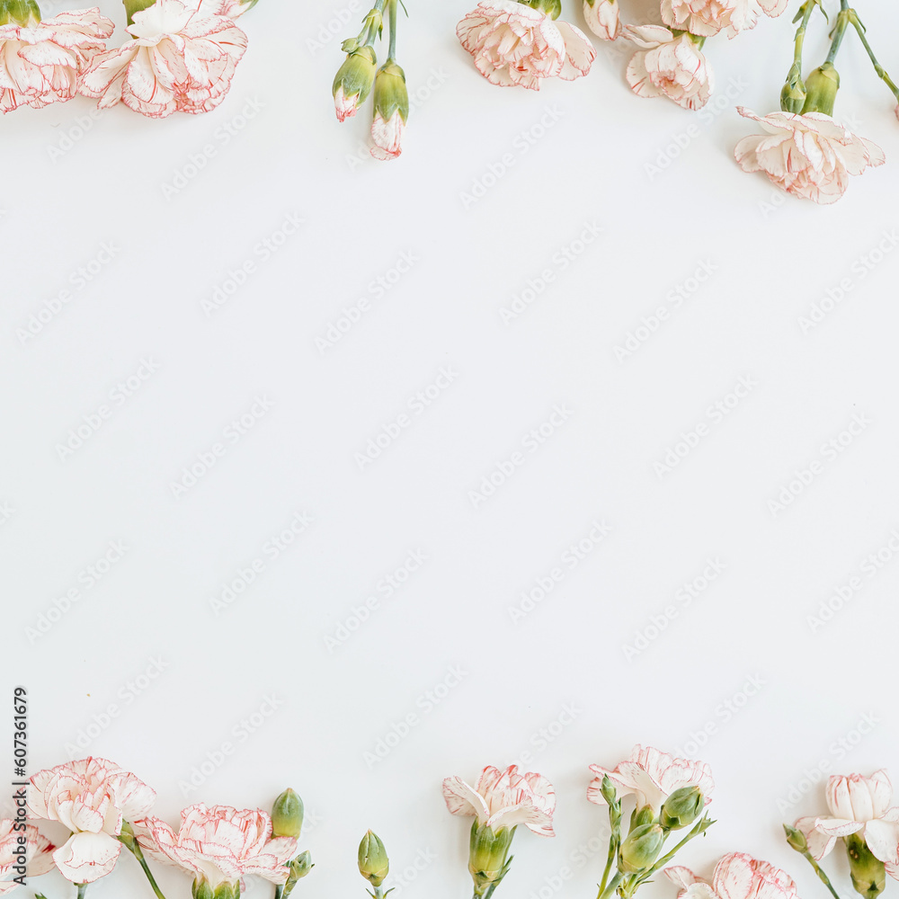 Frame made of pink carnation flowers on white background with blank ...