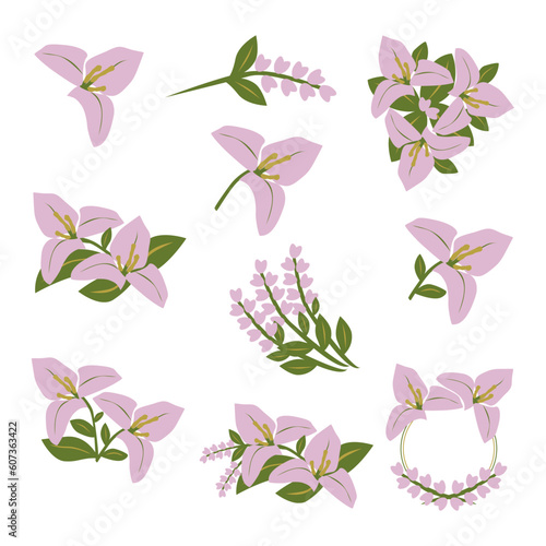 Purple Bugenvil or Bougainville Flower collection set. Flower arrangement  bouquet flowers ornamental  vector illustration. This plant also known as Bunga Kembang Kertas in Indonesia.