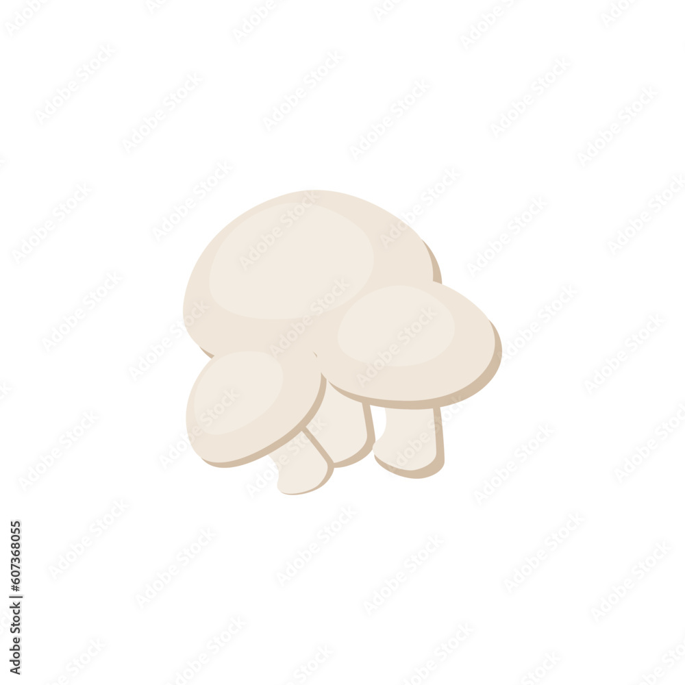 mushroom Vector isolated on white background mushroom Vector isolated on white background