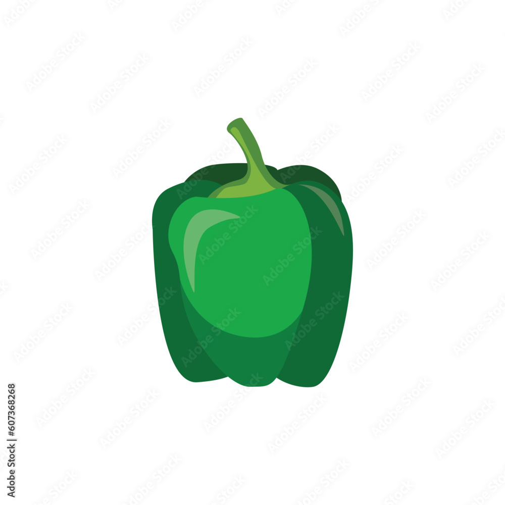 green bell pepper Vector isolated on white green bell pepper Vector isolated on white