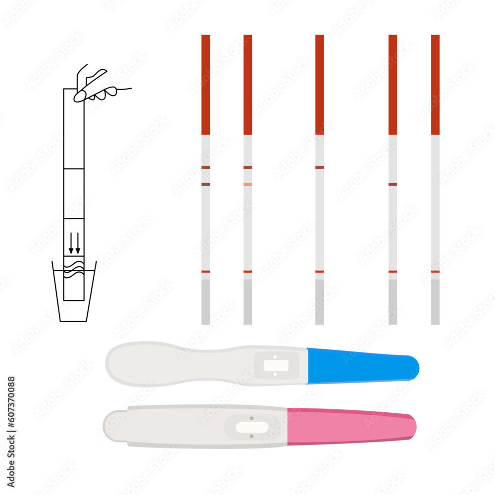 Pregnancy test vector urine diagnostic test kit and strip vector illustration HCG Pregnancy test kit vector image