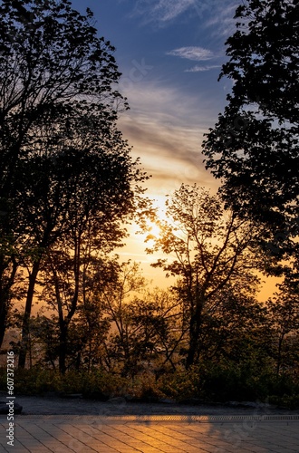Vertical shot of a sunset over the silhouette of trees in the park.