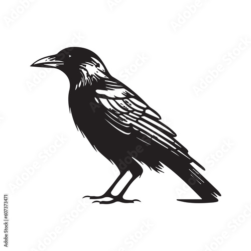 raven silhouette Vector  icon logo