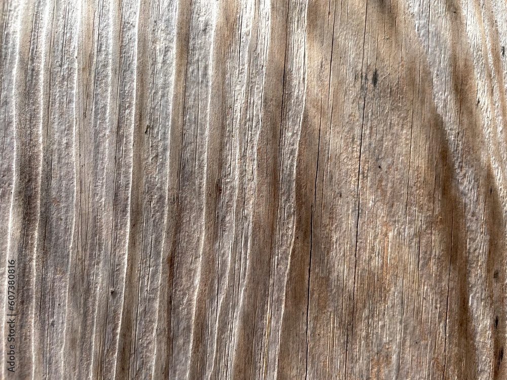 Fototapeta premium wood texture background