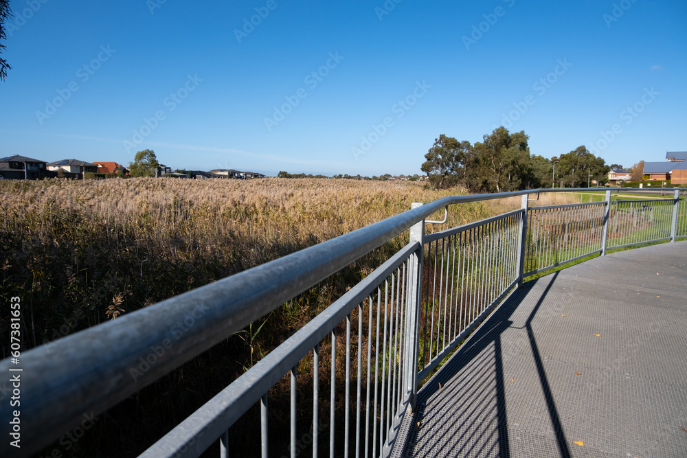 Pedestrian boardwalk near wetlands with feather reed grass, some residential suburban houses in the distance. Point Cook VIC Australia. Concept of the beautiful environment in Australian neighborhood