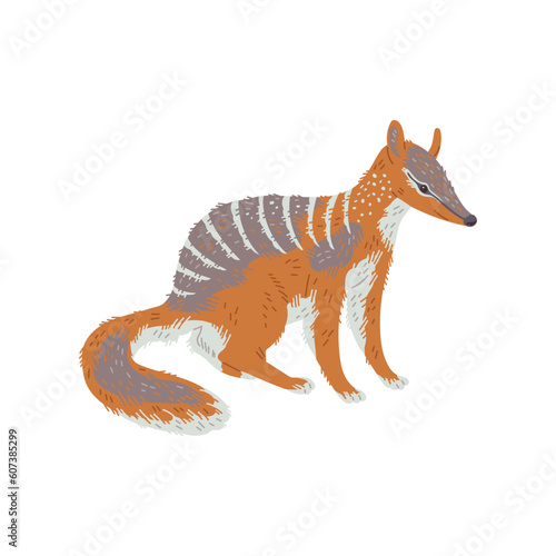 Colorful marsupial anteater Australian animal flat style