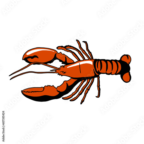 vector illustration of lobster
