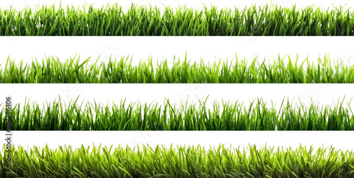 file of green grass background  isolated on transparent background  Generative AI