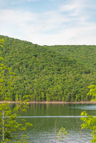 Allegheny National Forest Pa Kinzua point mountain lake  copy space graphic resources  summer activity